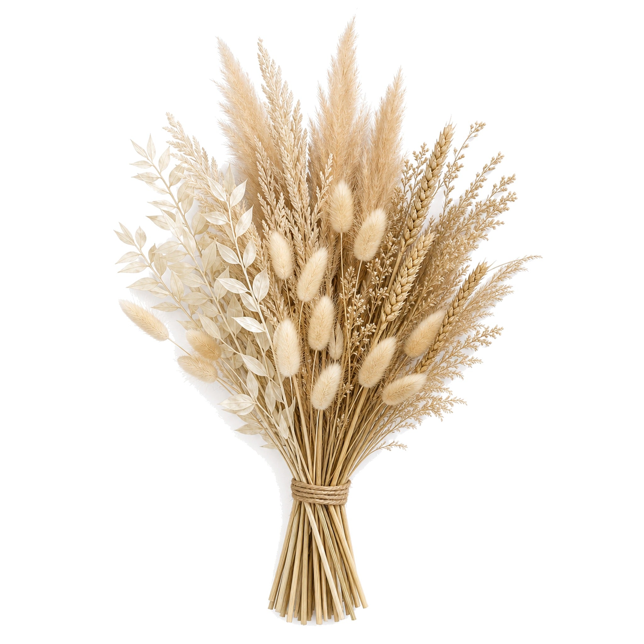 Linen Field Dried Stems Bundle